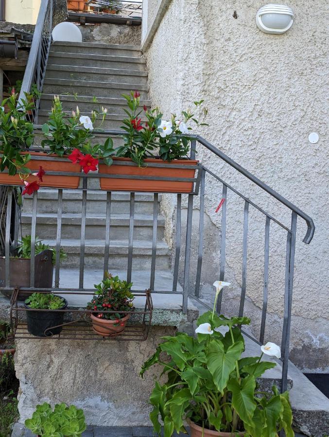 La Finestra Sul Brenta Apartment Lasino Luaran gambar